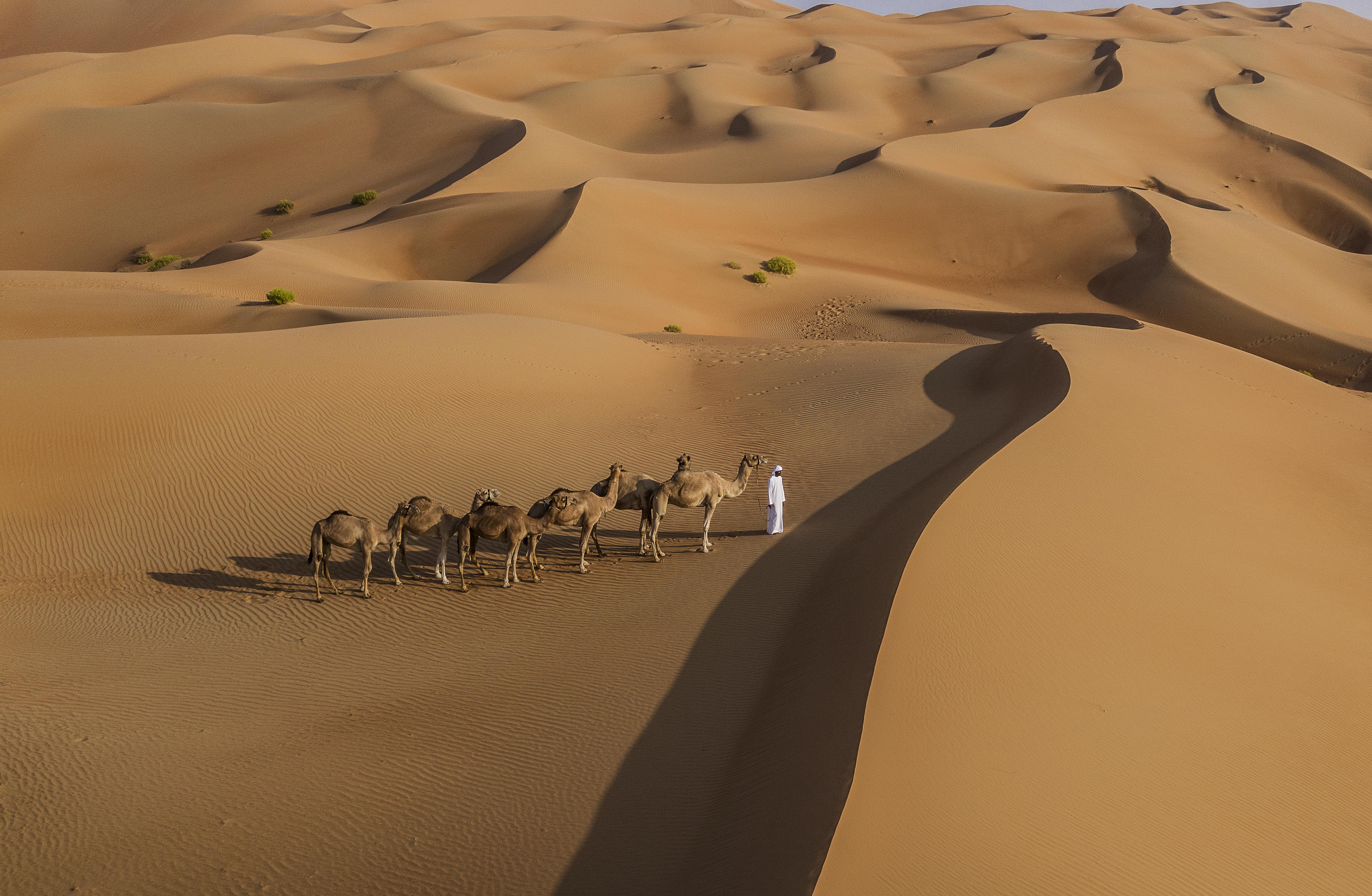 Anantara Qasr Al Sarab Desert Resort Jereirah Zewnętrze zdjęcie