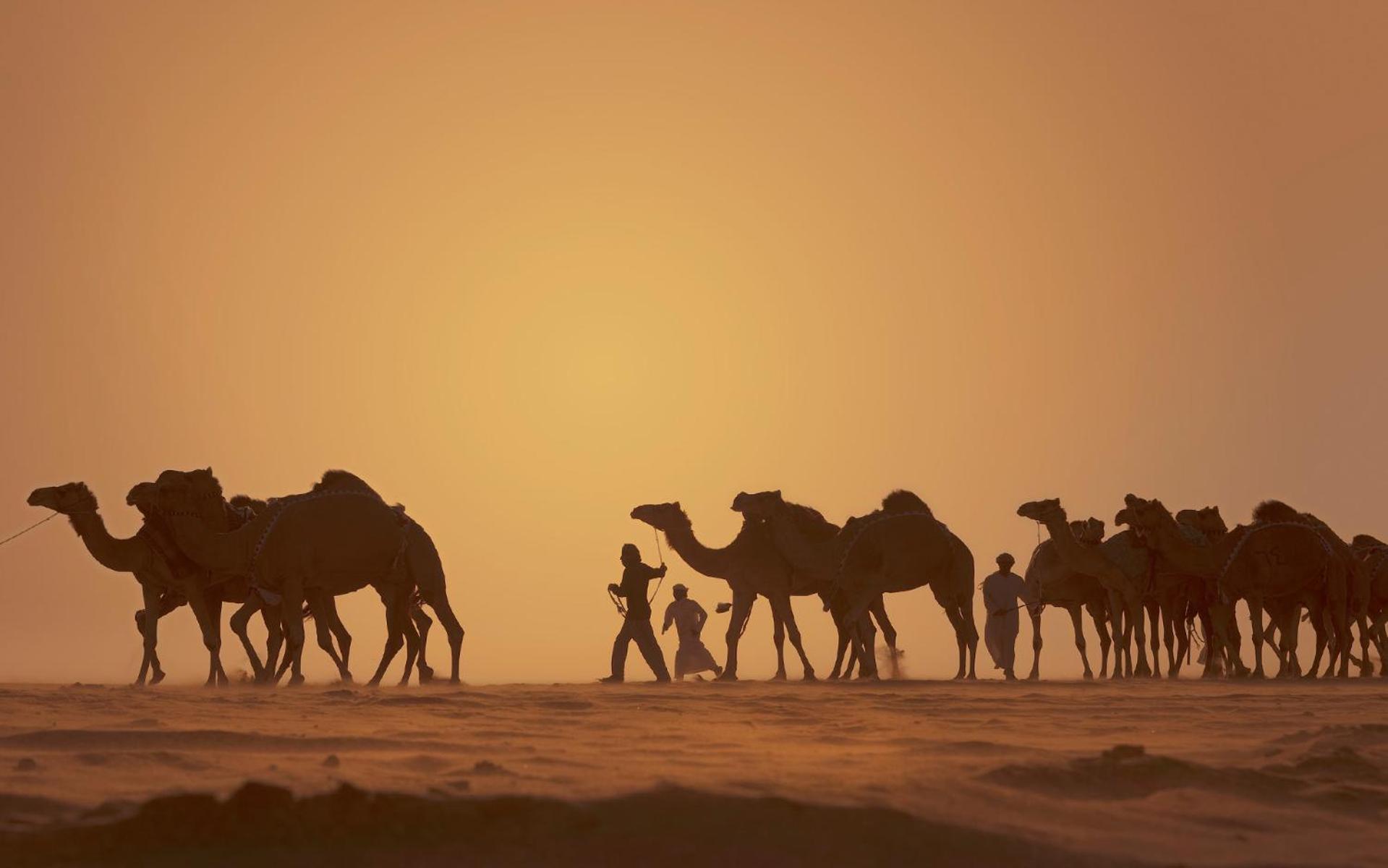 Anantara Qasr Al Sarab Desert Resort Jereirah Zewnętrze zdjęcie